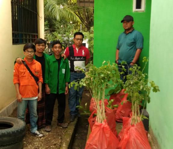 Gambar Tanam 250 Bibit Pohon, Mahasiswa KKN Desa Duampanuae Sinjai Lakukan Penghijauan